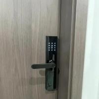 智能门锁整套