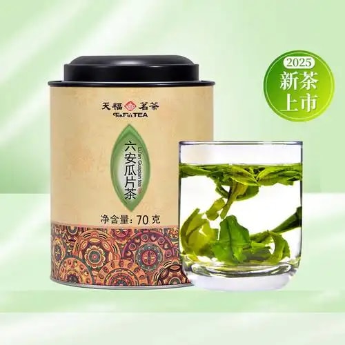 名优绿茶罐装